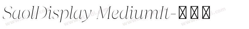 SaolDisplay MediumIt字体转换